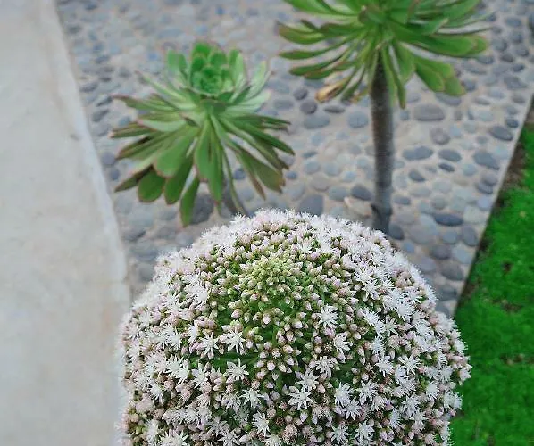 El Susurro Ecoliving Guincho Villa